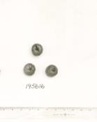 Click for 1 image(s) for this accession. FRUIT